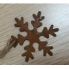 这样的铁片 直径5cm 的 谁家有