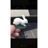 谁家有这样的白兔啊！