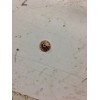 请问这个耳堵谁家有