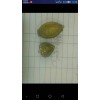 这个是谁家做的