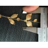 求购这两种树叶谁家有