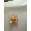 这个花谁家有