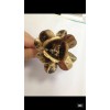 谁家有这个花