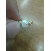谁家有这种8#带宝石壳的珍珠