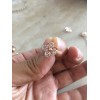 谁家有这个急看图