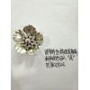 谁家有这样的花