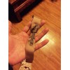 有没有做这个的工厂看图