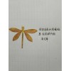 谁家有类似的蜻蜓