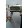 谁家有这种石头