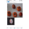 谁家有这样的货清看图