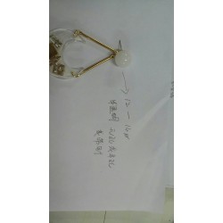 谁家有这种珠子