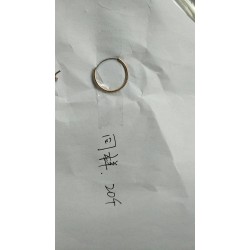 谁家这样耳环圈多