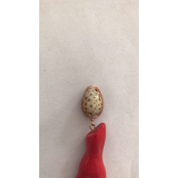 这个贝壳谁家有