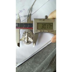 这个相合上的虫子谁家有