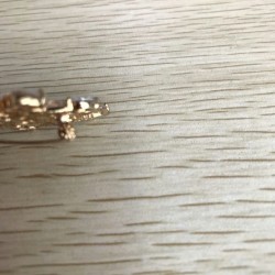 谁家有这个鸡头鸡尾有订单