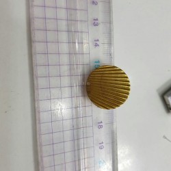 谁家有这样的贝壳