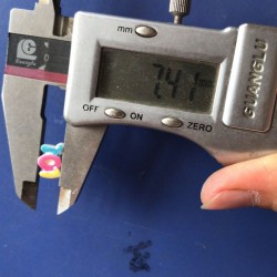 这个谁家有