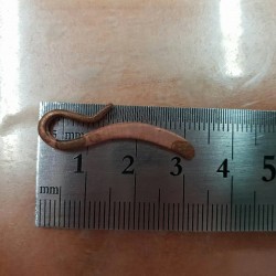 谁家有这样的件看图