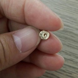 谁家有这样的蝴蝶堵