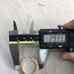 这个耳环谁家有