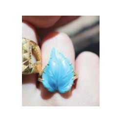 谁家 有这样 类似的 树叶