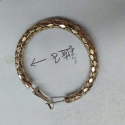 谁家有这样的耳环