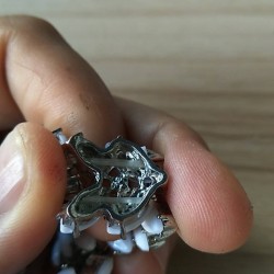 谁家有这个压铸的模具