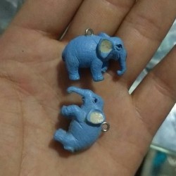 谁家有这样的大象