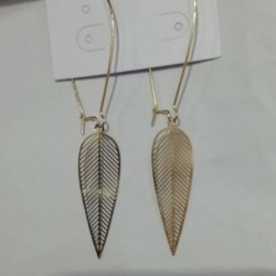 谁家有这个 铁片 电脑片都可以