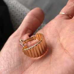 这种耳环谁家有