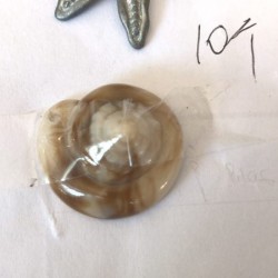 这个仿贝壳是谁家的