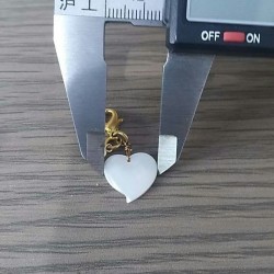这个贝壳谁家有