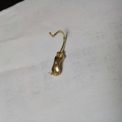 这种耳钩谁家有