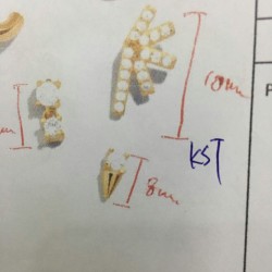 谁家有这种KST耳钉