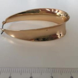 这个耳环谁家有