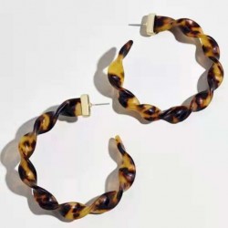 谁家有这种耳环