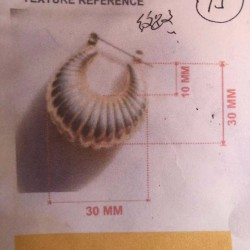 谁家有这个耳环