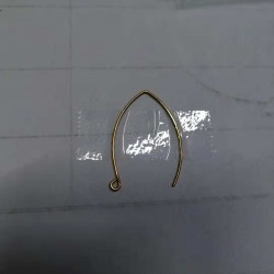 谁家有这种耳钩啊？