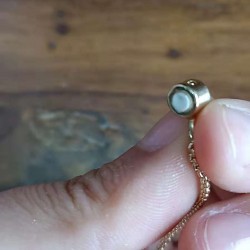 谁家有这种堵里面的白皮堵