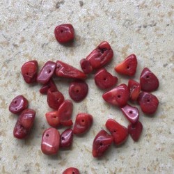 这种珊瑚无孔的谁家有