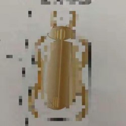 这样的胸针谁家有
