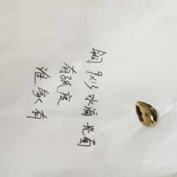谁家有这种海螺