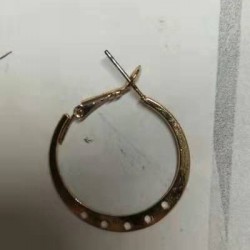 这是谁家的耳环？