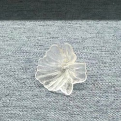 谁家有类似的花