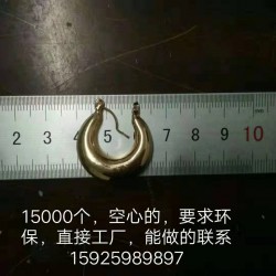 谁家有这样的耳环