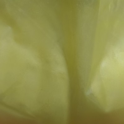 丰收黄，俊杰新上金粉银粉，珠光粉，EPOXY豪迈卡等专用