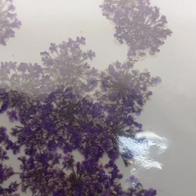 青岛饰品干花系列产品展示-