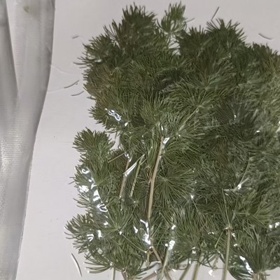 青岛饰品干花系列产品展示- 俊杰工贸