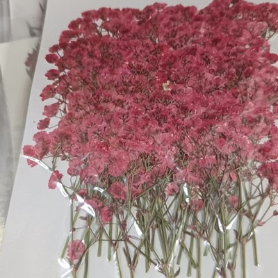 青岛饰品干花系列产品展示- 俊杰工贸